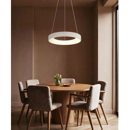 Globo - Suspension LED dimmable sur câble LED/48W/230V 2700-6000K + télécommande