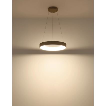 Globo - Suspension LED dimmable sur câble LED/48W/230V 2700-6000K + télécommande
