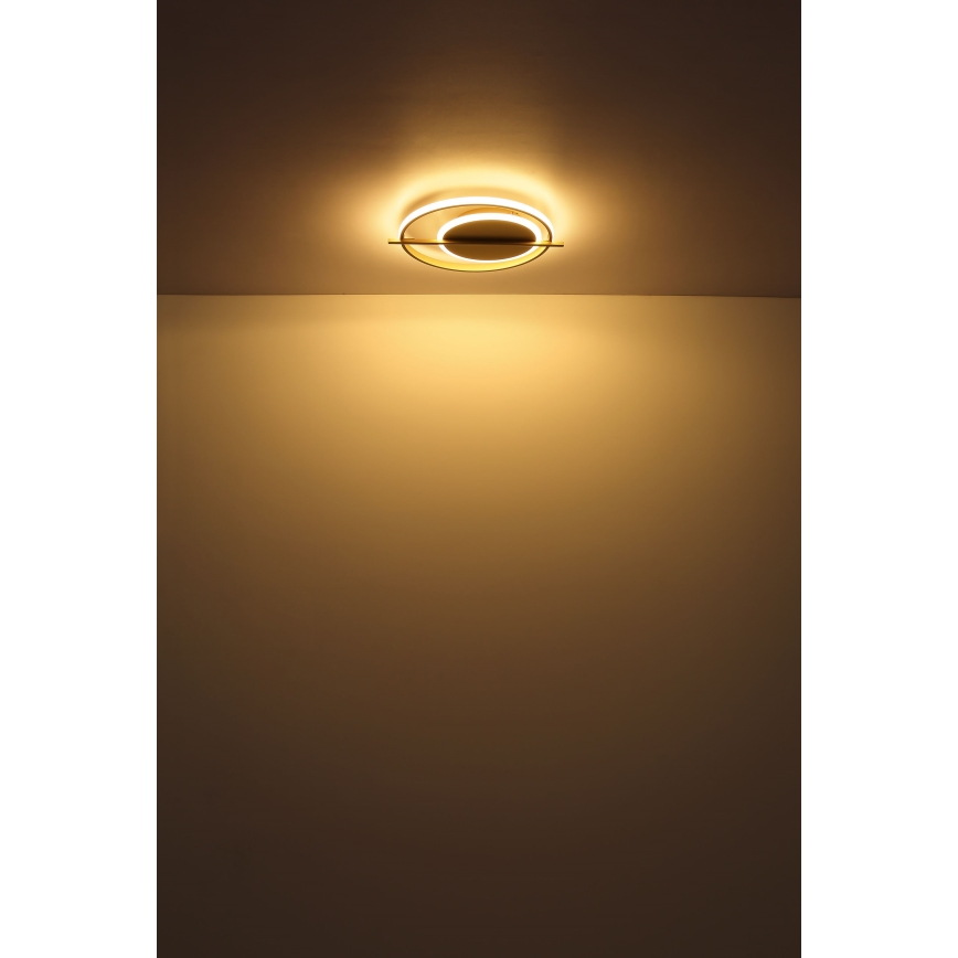 Globo - LED-Deckenleuchte LED/36W/230V
