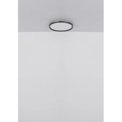 Globo - Plafoniera LED dimmerabile LED/48W/230V diametro 50 cm 2700-6000K + telecomando