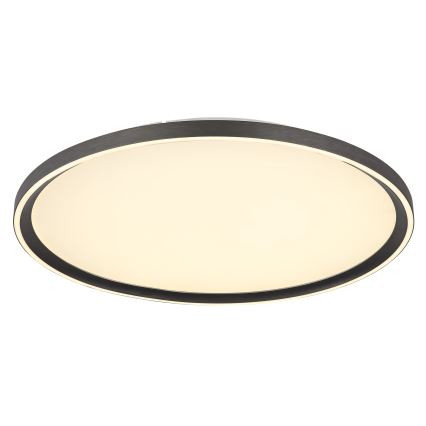 Globo - Plafoniera LED dimmerabile LED/48W/230V diametro 50 cm 2700-6000K + telecomando