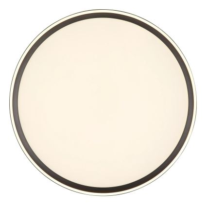 Globo - Plafoniera LED dimmerabile LED/48W/230V diametro 50 cm 2700-6000K + telecomando