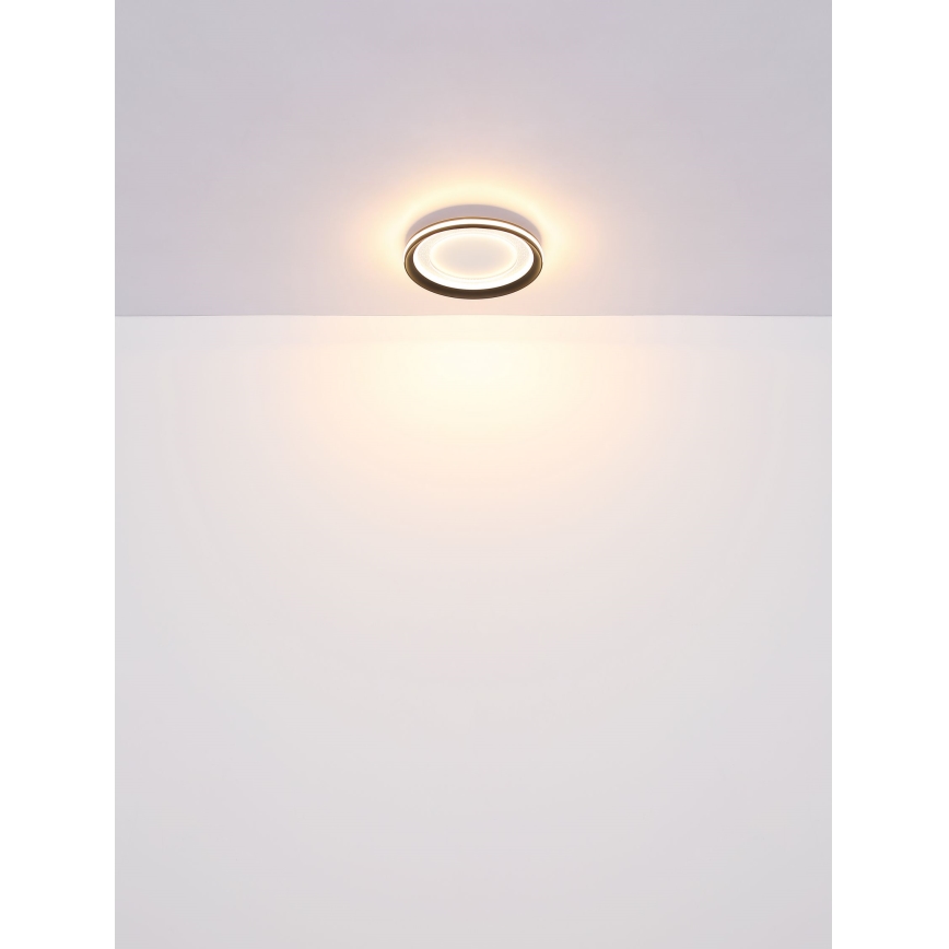 Globo - Plafoniera LED dimmerabile LED/24W/230V 2700-6000K + telecomando