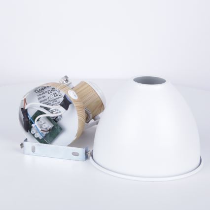 Globo - Luce Spot da parete 1xE27/40W/230V