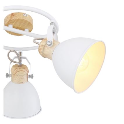 Globo - Luce Spot 3xE27/40W/230V