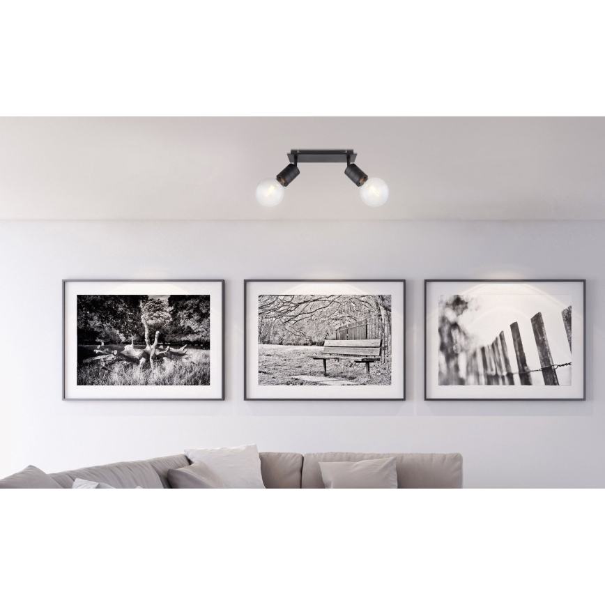 Globo - Spot 2xE27/60W/230V