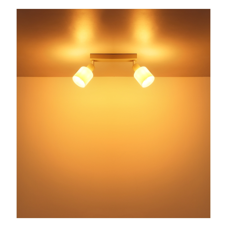 Globo - Spot orientable 2xE14/25W/230V