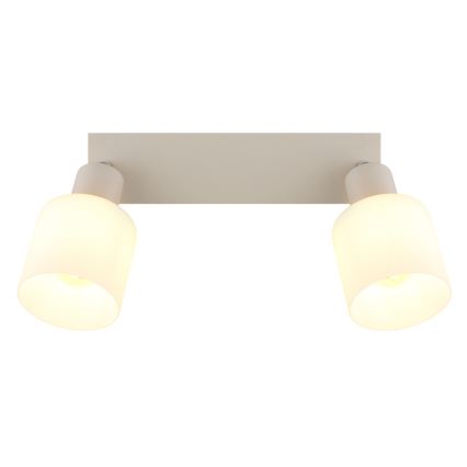 Globo - Spot orientable 2xE14/25W/230V