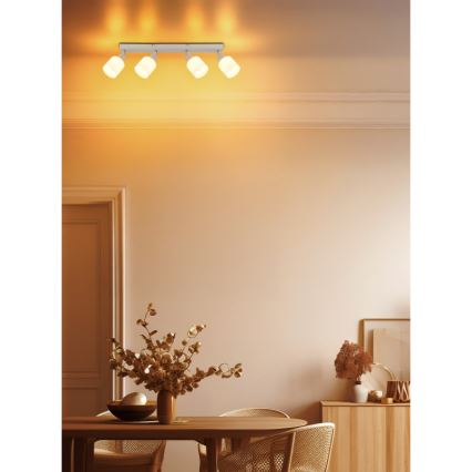 Globo - Plafoniera con 4 faretti E14/25W/230V