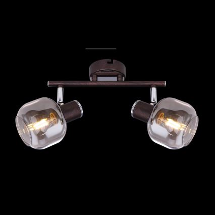 Globo 54303-2 - Spot PALLO 2xE14/40W/230V