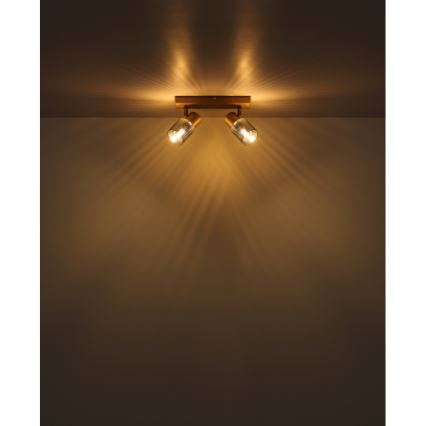 Globo - Spot 2xE14/40W/230V