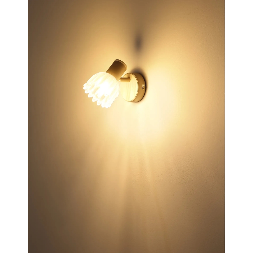 Globo - Applique murale spot 1xE14/40W/230V