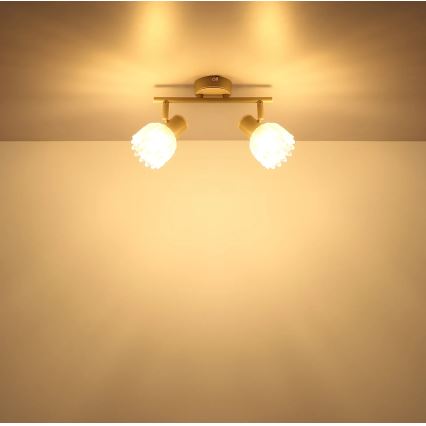 Globo - Spot 2xE14/40W/230V