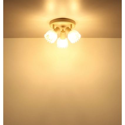 Globo - Spotleuchte 3xE14/40W/230V