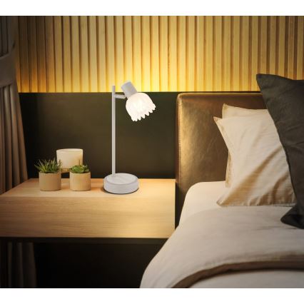 Globo - Lampe de table 1xE14/40W/230V