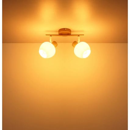 Globo - Faretto orientabile 2xE27/40W/230V