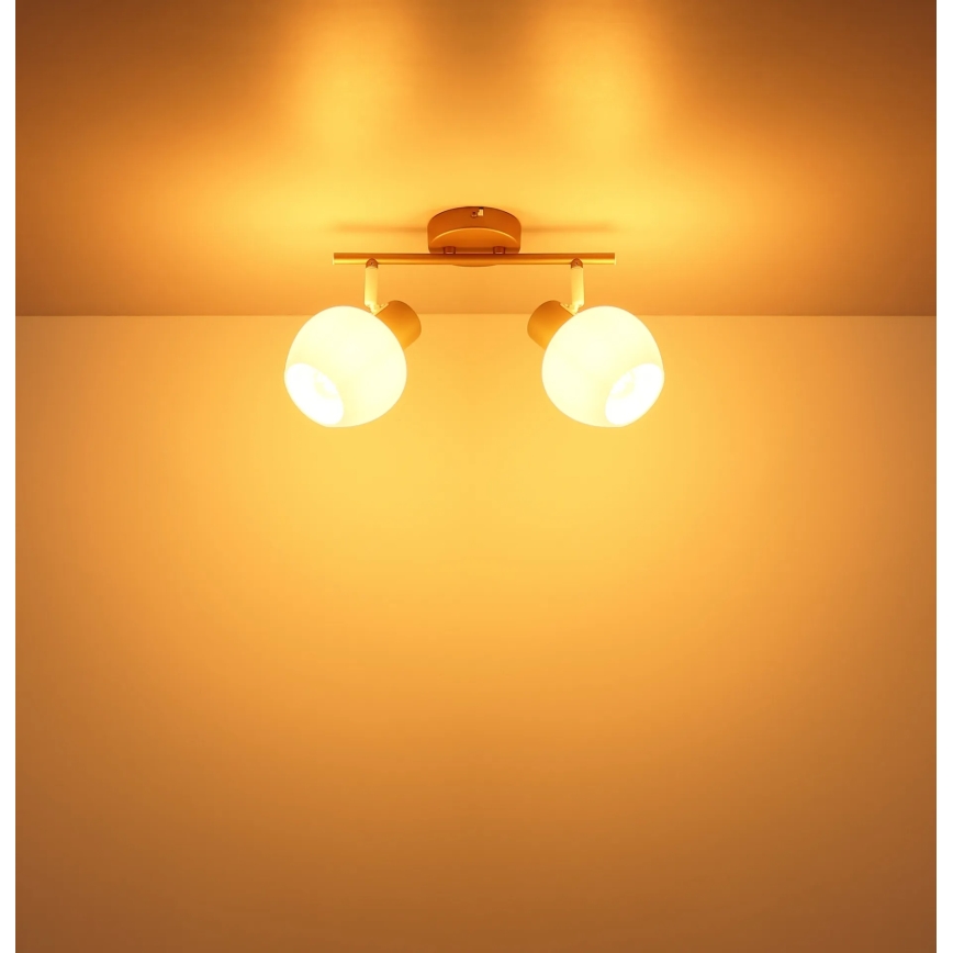 Globo - Faretto orientabile 2xE27/40W/230V