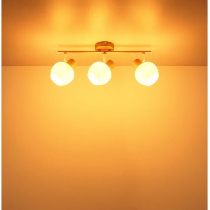 Globo - Plafoniera a 3 faretti 3xE27/40W/230V