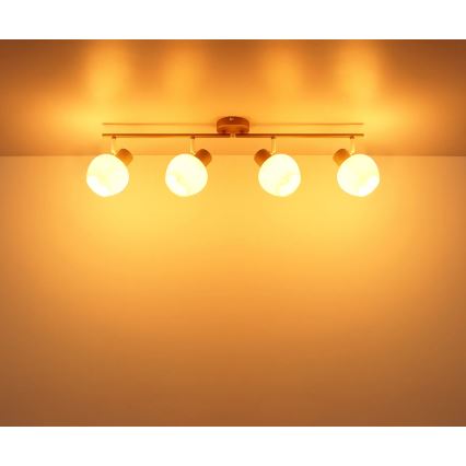 Globo - Deckenstrahler 4xE27/40W/230V