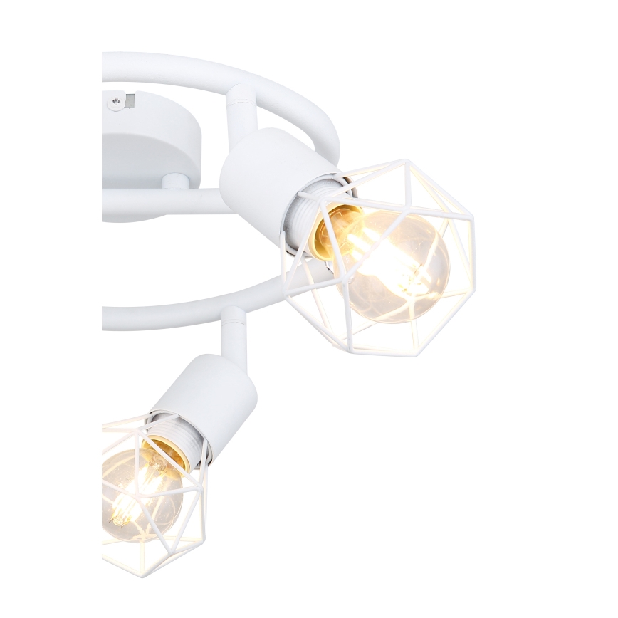Globo - Luce Spot 3xE14/40W/230V