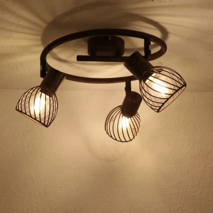 Globo 54817-3 - Spot ISABELLE 3xE14/40W/230V