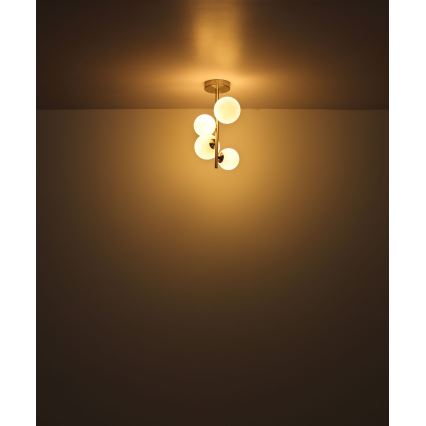 Globo - Lampadario a sospensione con supporto rigido LED 4xG9/3W/230V cromo opaco