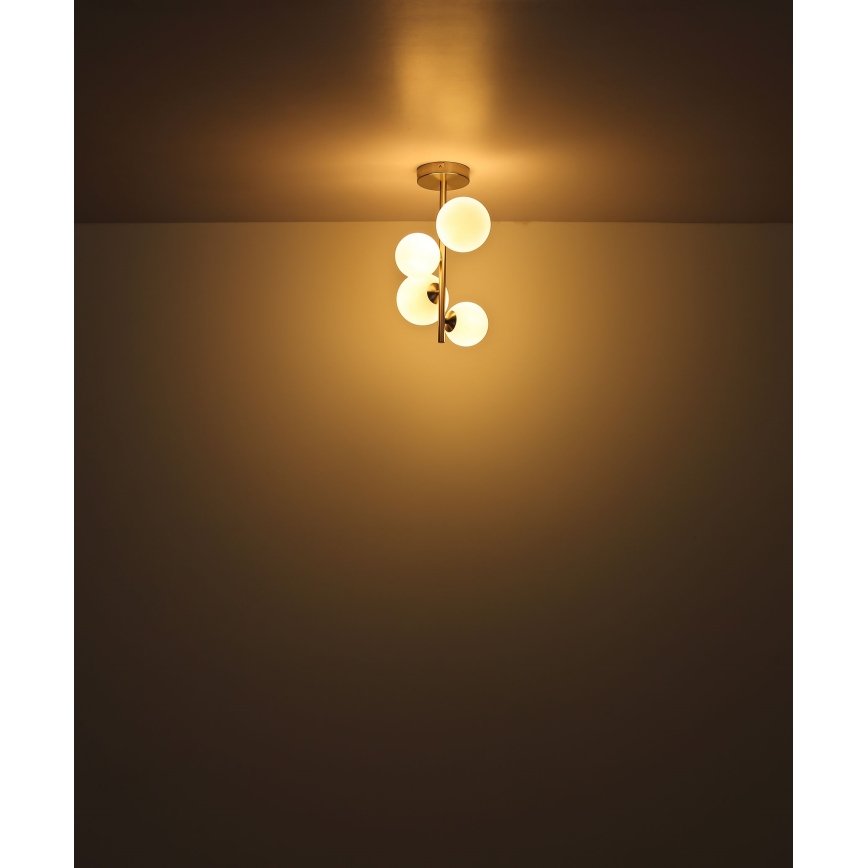 Globo - Lampadario a sospensione con supporto rigido LED 4xG9/3W/230V cromo opaco