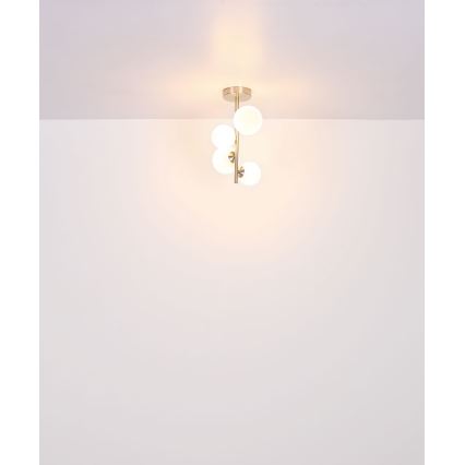 Globo - Lampadario a sospensione con supporto rigido LED 4xG9/3W/230V cromo opaco