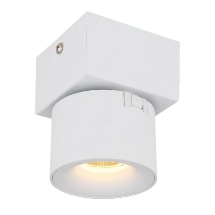 Globo - Luce Spot da parete a LED LED/6W/230V bianco