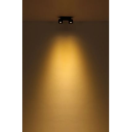 Globo - Faretto LED 2xLED/6W/230V nero