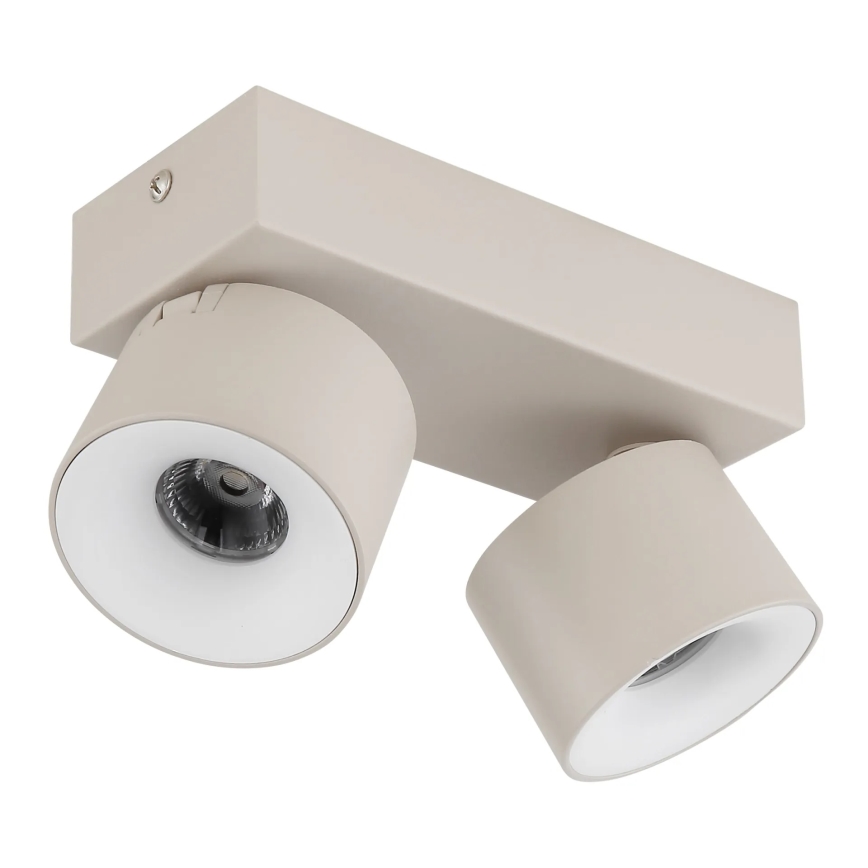 Globo - LED-Deckenstrahler 2xLED/6W/230V