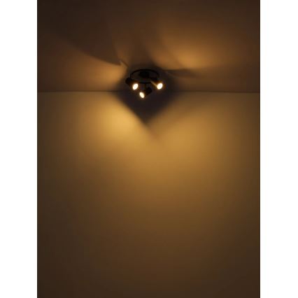 Globo - Spot 3xGU10/25W/230V noir