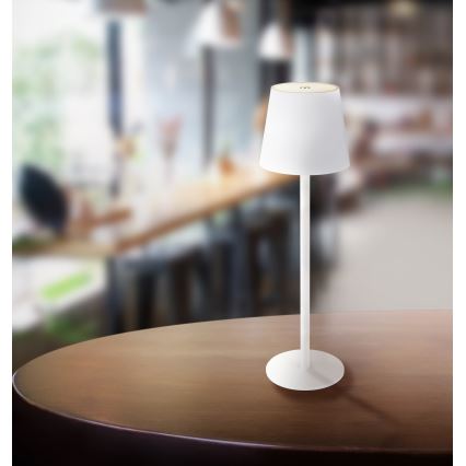 Globo - Lampe d'extérieur à intensité variable LED/3W/3,7V IP44 1800 mAh USB blanc