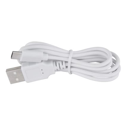 Globo - Lampe de table tactile à intensité variable LED/1W/3,7V 3000K 1800 mAh USB blanc