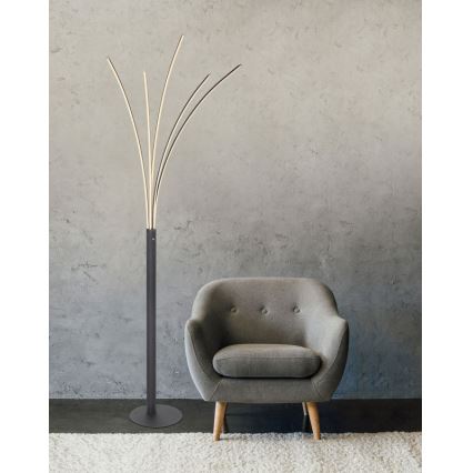 Globo - Lampada da terra dimmerabile con touch, LED 36W, 230V, nera