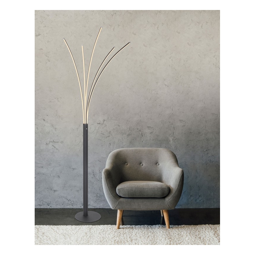 Globo - Lampada da terra dimmerabile con touch, LED 36W, 230V, nera