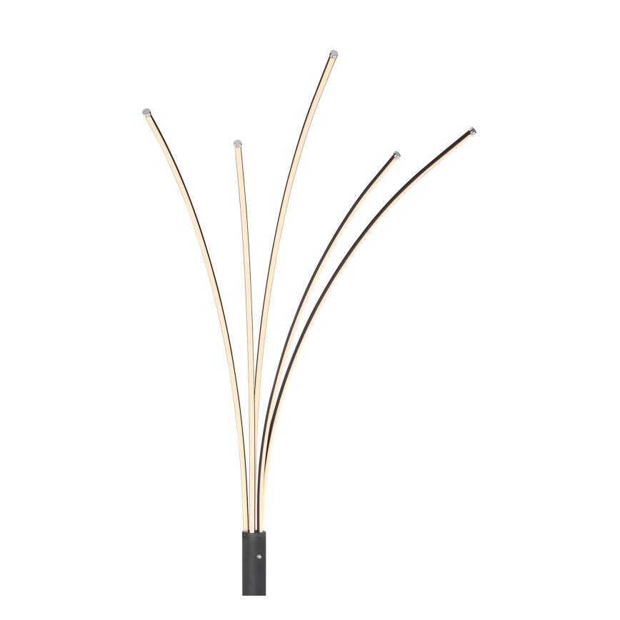 Globo - LED dimmbare Touch-Stehleuchte LED/36W/230V schwarz