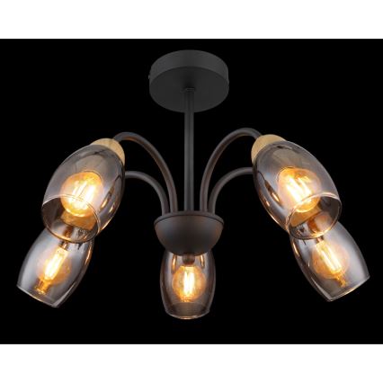 Globo - Lampadario a sospensione con supporto rigido 5xE14/25W/230V