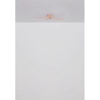 Globo - LED-Anbauleuchte LED/12W/230V 3000K orange