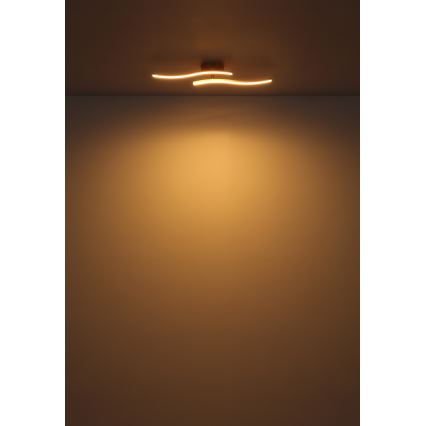 Globo - LED-Anbauleuchte LED/12W/230V 3000K weiß