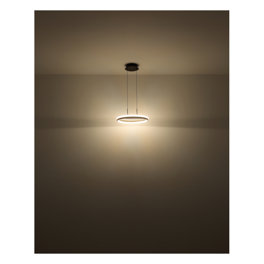 Globo - Lampadario LED sospeso su cavo LED/40W/230V 3000/4000/6000K Ø 39,7 cm