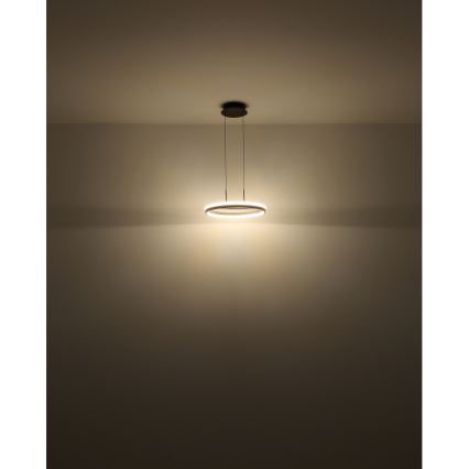 Globo - Suspension filaire LED/40W/230V 3000/4000/6000K d. 39,7 cm marron