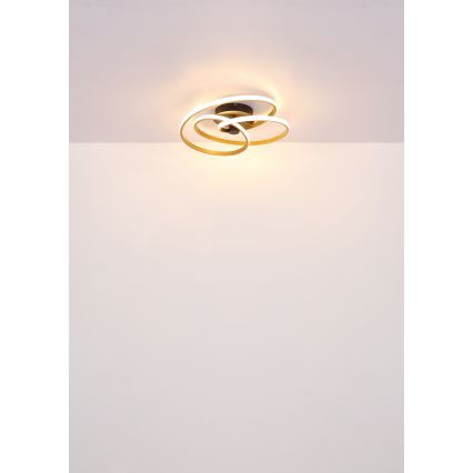 Globo - LED-Anbauleuchte LED/40W/230V 3000K golden/schwarz