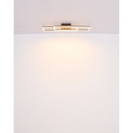 Globo - Plafonnier LED/30W/230V 3000K 60x80 cm noir