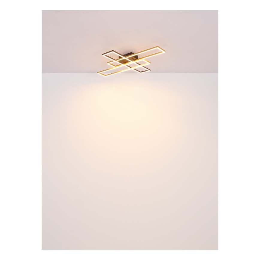 Globo - Plafonnier LED/30W/230V 3000K 60x80 cm noir/doré