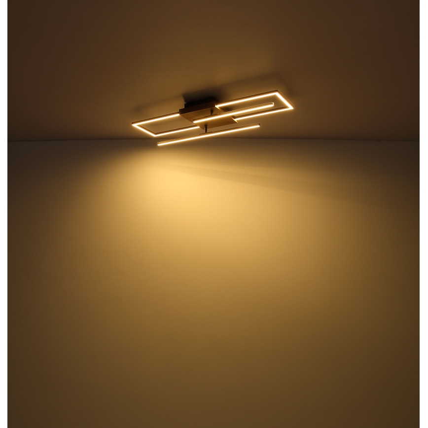 Globo - Plafoniera LED LED/18W/230V