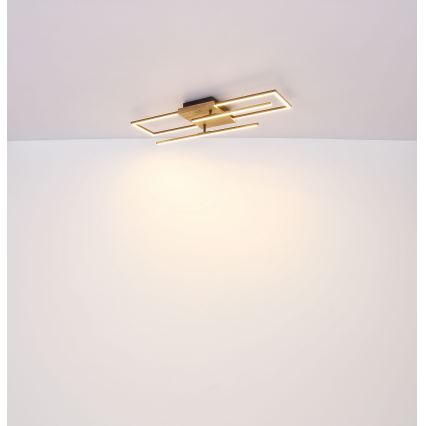 Globo - Plafoniera LED LED/18W/230V