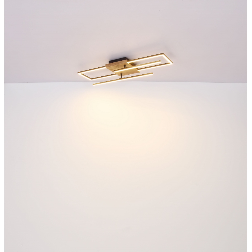 Globo - Plafoniera LED LED/18W/230V