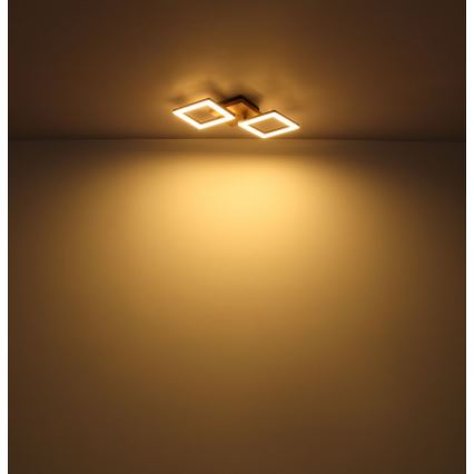 Globo - Lampadario LED a plafone LED/18W/230V