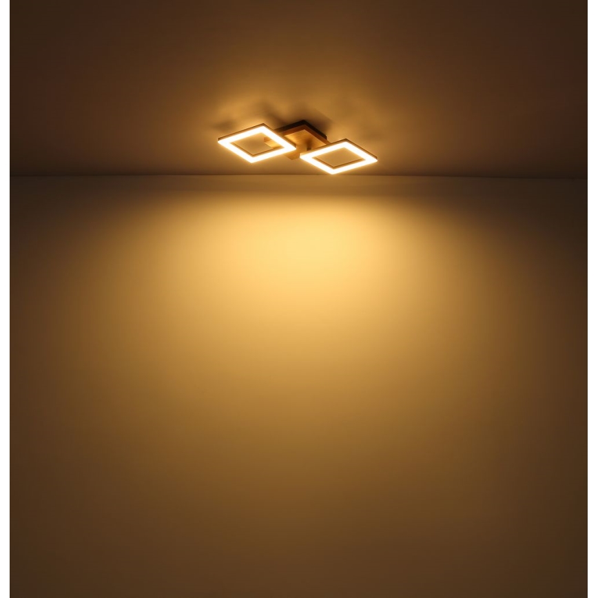 Globo - Lampadario LED a plafone LED/18W/230V
